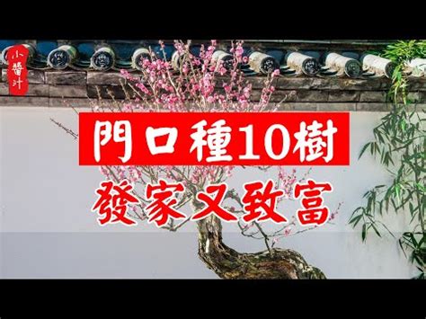 門口種什麼植物|門口招財植物攻略：種啥旺財，讓錢財滾滾來！ 